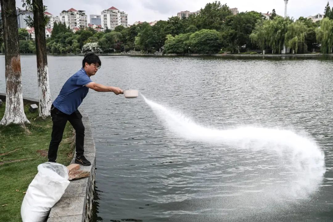 1662340678478975.jpg 1662340678478975.jpg